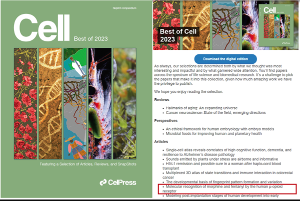 上海藥物所Cell文章入選“Best of Cell 2023”-江蘇網(wǎng)站制作