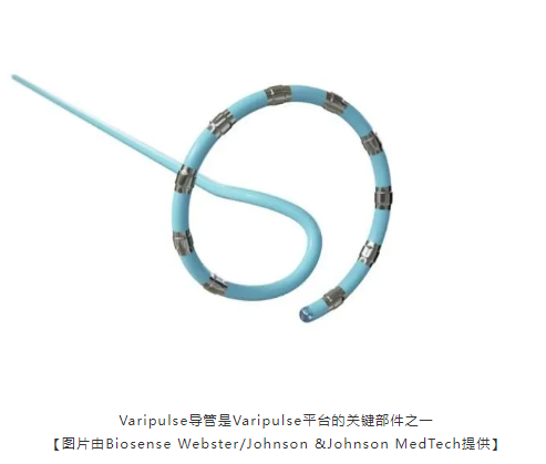 強(qiáng)生醫(yī)療科技公司Varipulse PFA獲得FDA最新批準(zhǔn)-江蘇網(wǎng)站制作