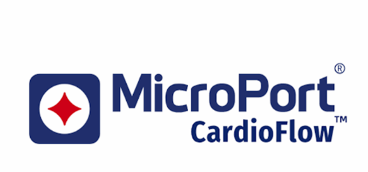 【海外風(fēng)雲(yún)】MicroPort Cardio 的Alwide Plus球囊導(dǎo)管榮獲CE 標(biāo)志-江蘇網(wǎng)站制作
